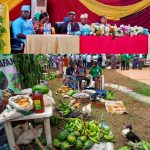 2024 World Food Day: What we’re doing to boost food security- Makinde