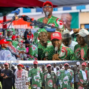 IMG-20251116-WA0331(1)